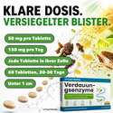 DIGESTION ENZYMES